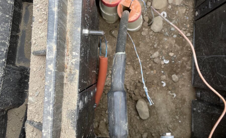 WhatsApp Image 2026-04-06 at 9.17.50 AM