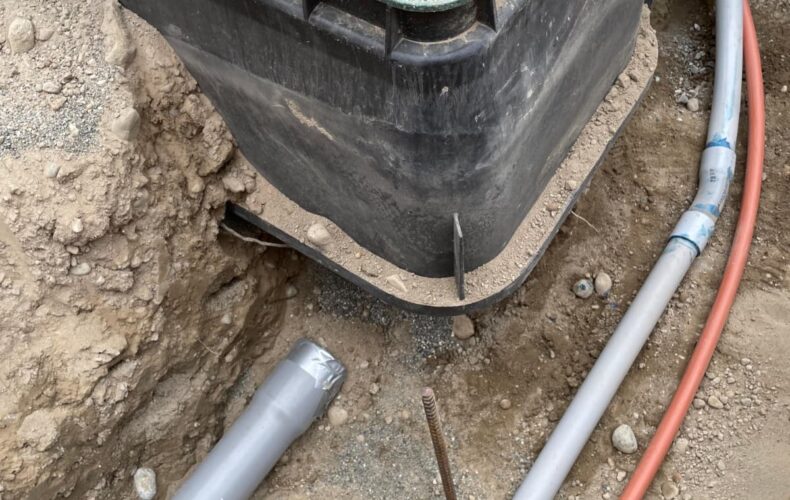 WhatsApp Image 2026-04-06 at 9.17.54 AM